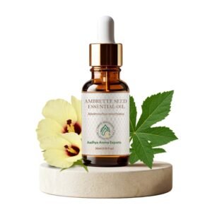 Ambrette Seed Essential Oil