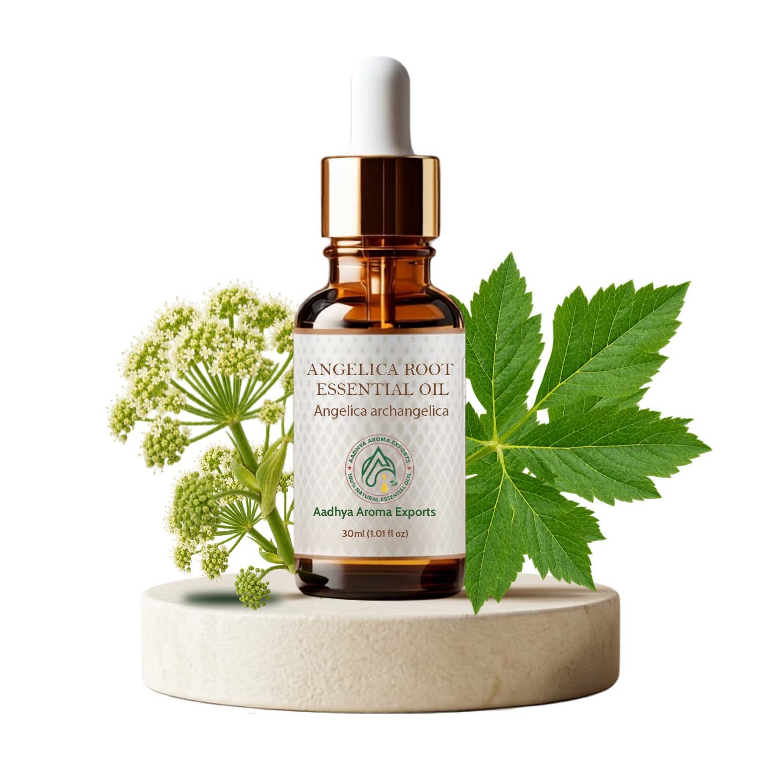 Angelica Root Essential Oil